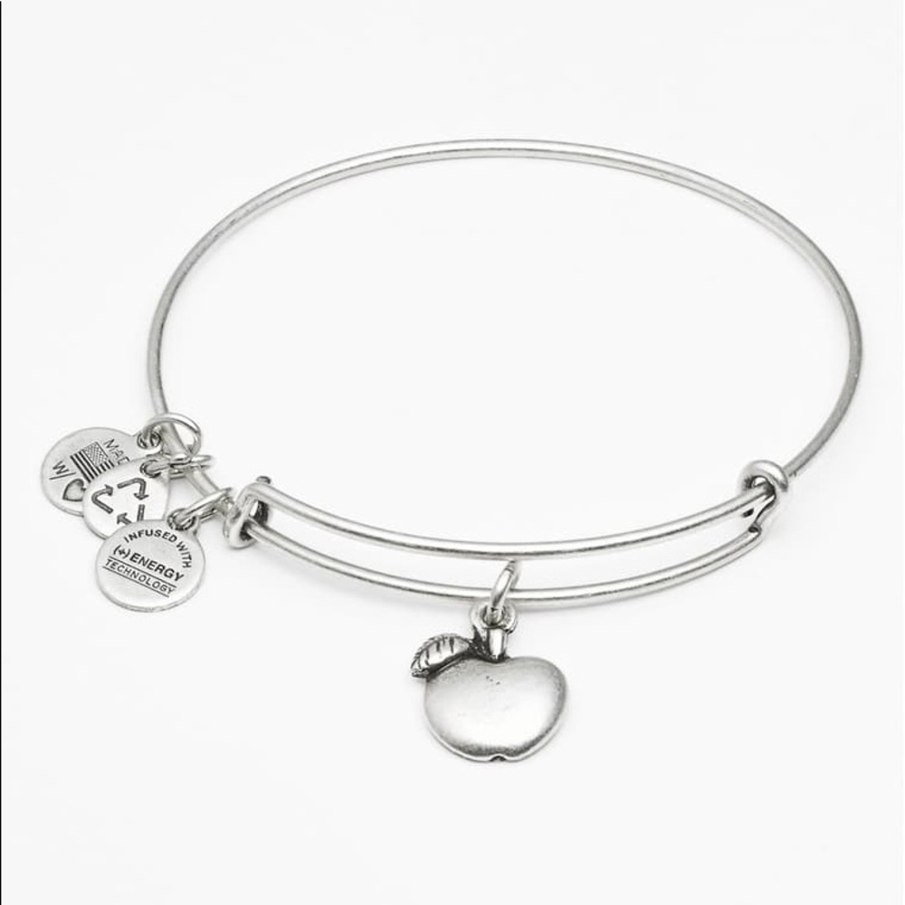 ❗️SOLD ❗️Alex and Ani Apple' Teacher Bangle